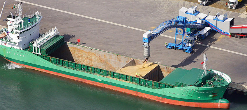 Vessel in port receiving grain from a grani feeder into its hull - Agro Logistics